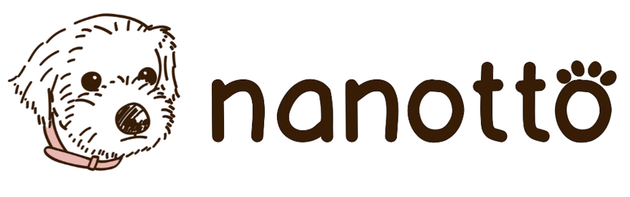 nanotto